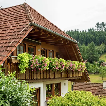 In With Balcony Schuttertal